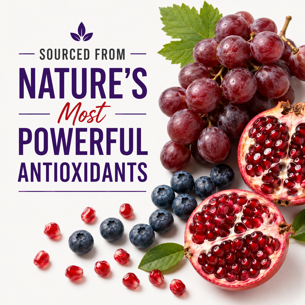 Resveratrol Complex 1800MG – Natural Antioxidant | Healthy Aging, Immune & Brain Support | Non-GMO Formula | 90 Capsules